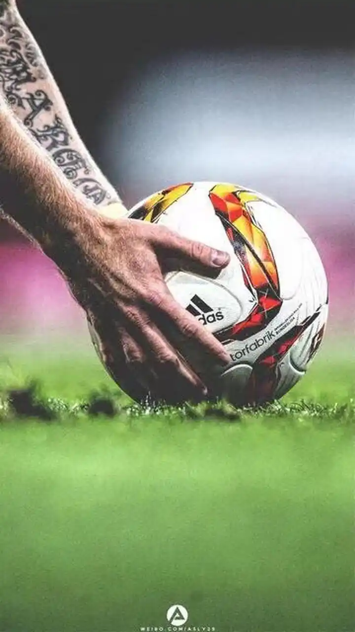 提升设施还 提升设施还